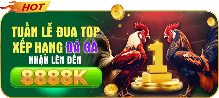 khuyến mãi đá gà hb88