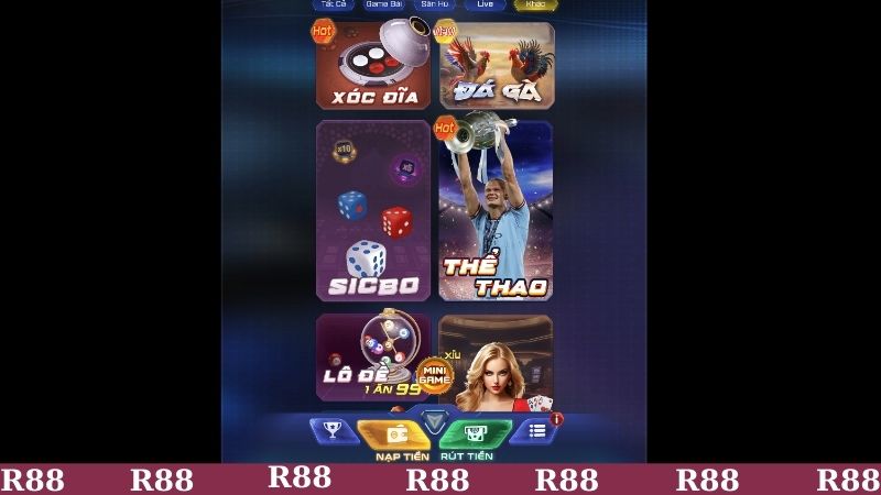 Cần lưu ý những gì khi đăng ký R88?